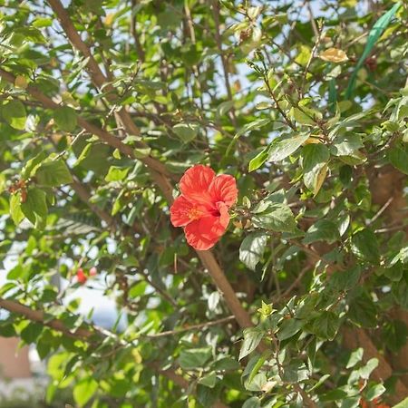 Mulberry Tree Villa Agios Nikolaos  Ngoại thất bức ảnh